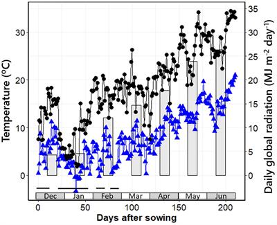 Dynamics of apex and leaf development in barley as affected by PPD-H1 alleles in two contrasting PHYC backgrounds under short or long photoperiod